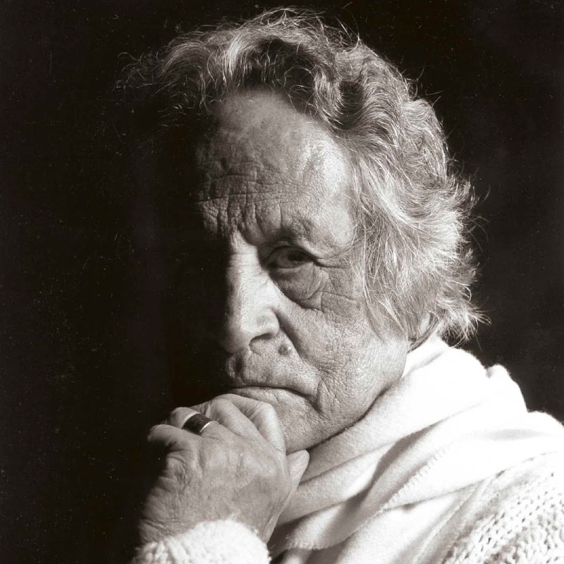 Armando Villegas, artista de arte contemporáneo en Elevation Gallery